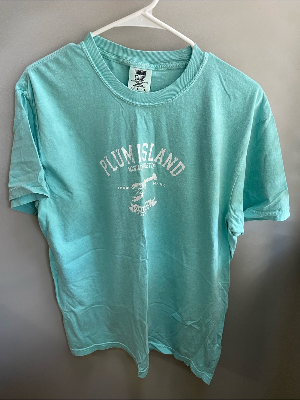 Comfort Colors Plum Island Graphic Tee - Aqua Blue